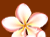 �x���^�C�Î��}�b�T�[�W